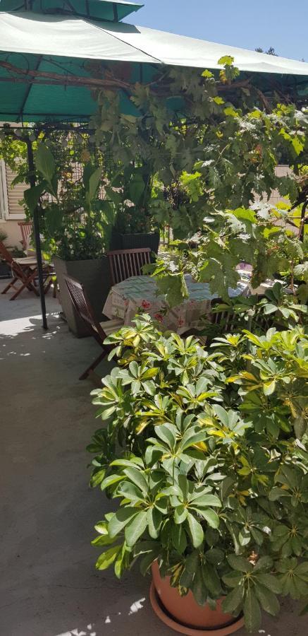 Appartement Dalia House *